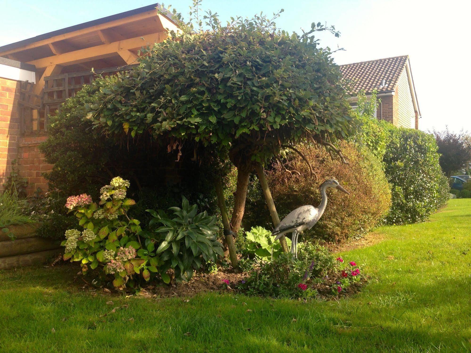 Herons Nest B&B Marlow  Exteriér fotografie